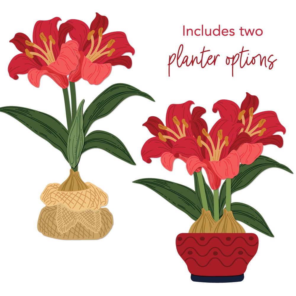 Lovely Layers: Amaryllis - Honey Cuts - Honey Bee Stamps
