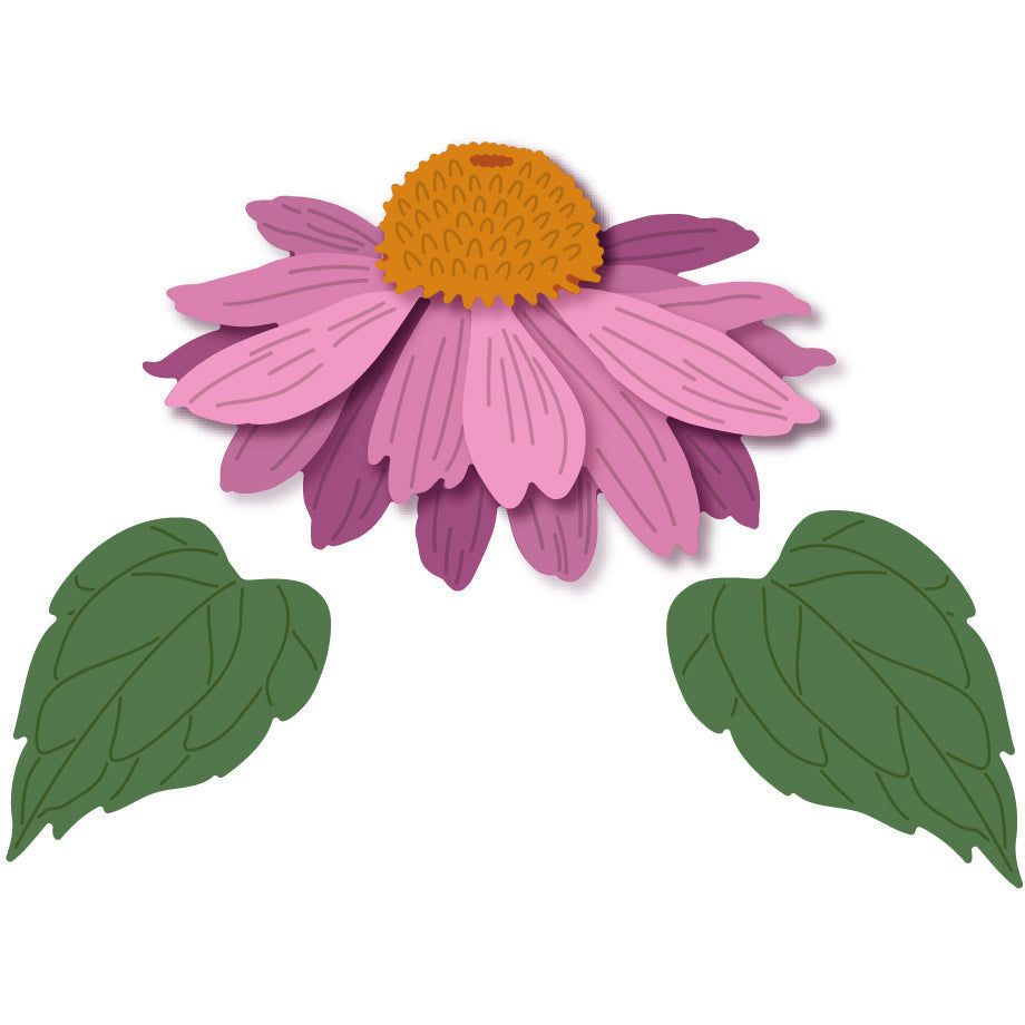 Lovely Layers: Coneflower - Honey Cuts - Honey Bee Stamps